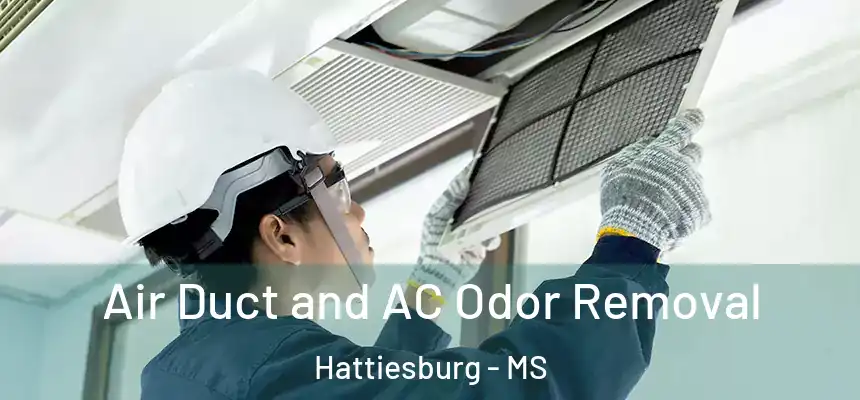  Air Duct and AC Odor Removal Hattiesburg - MS