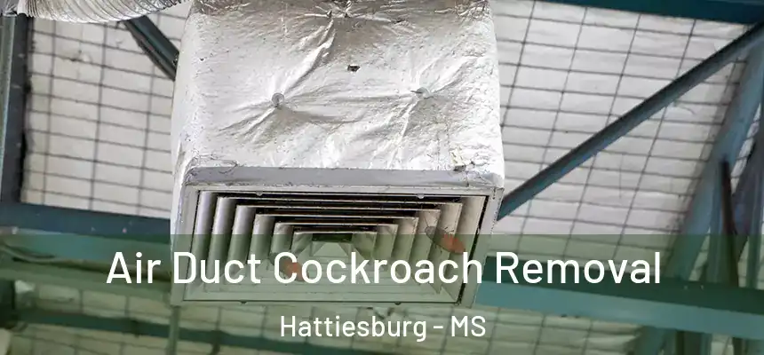  Air Duct Cockroach Removal Hattiesburg - MS