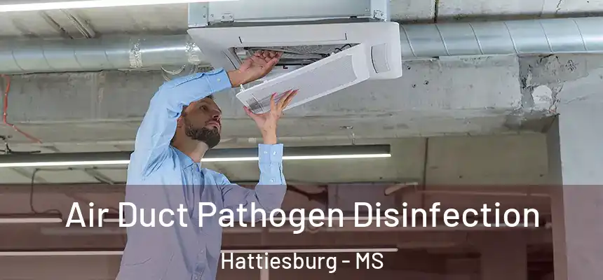  Air Duct Pathogen Disinfection Hattiesburg - MS