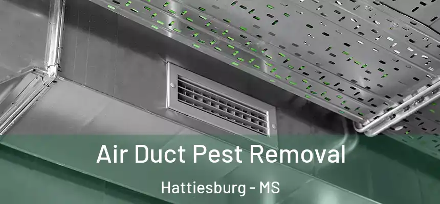  Air Duct Pest Removal Hattiesburg - MS