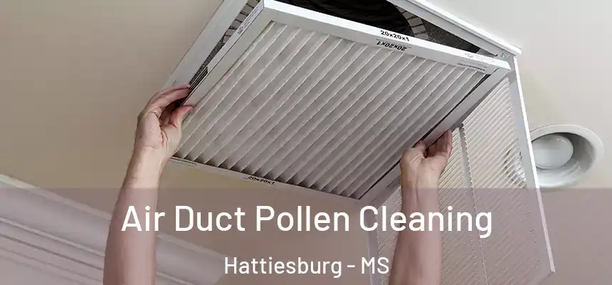  Air Duct Pollen Cleaning Hattiesburg - MS