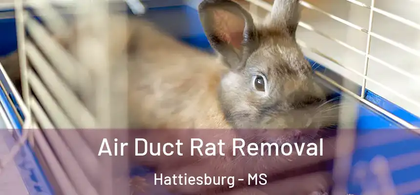  Air Duct Rat Removal Hattiesburg - MS