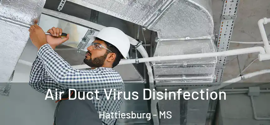  Air Duct Virus Disinfection Hattiesburg - MS