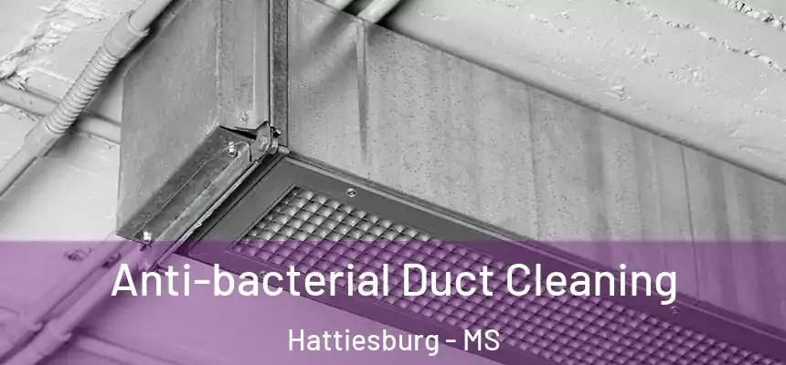  Anti-bacterial Duct Cleaning Hattiesburg - MS