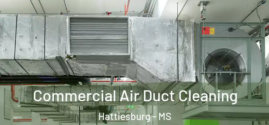  Commercial Air Duct Cleaning Hattiesburg - MS