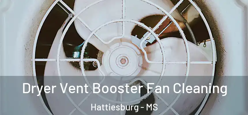  Dryer Vent Booster Fan Cleaning Hattiesburg - MS