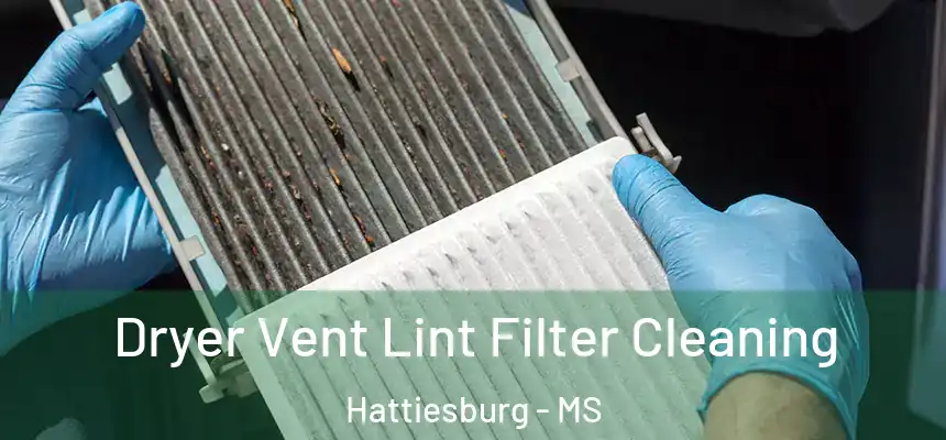  Dryer Vent Lint Filter Cleaning Hattiesburg - MS
