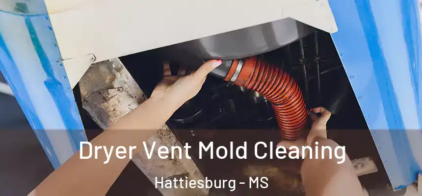  Dryer Vent Mold Cleaning Hattiesburg - MS