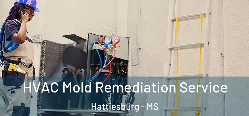  HVAC Mold Remediation Service Hattiesburg - MS