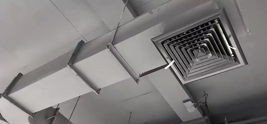 Restorative Allergy Relief Vent Cleaning – Coil, Blower & Housing Detail in Hattiesburg