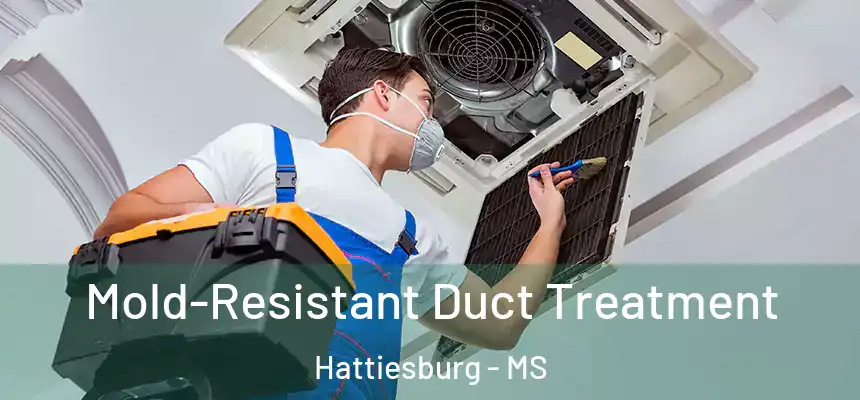  Mold-Resistant Duct Treatment Hattiesburg - MS