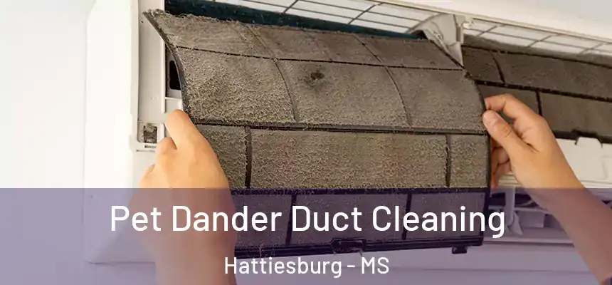  Pet Dander Duct Cleaning Hattiesburg - MS