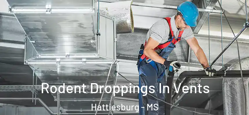  Rodent Droppings In Vents Hattiesburg - MS