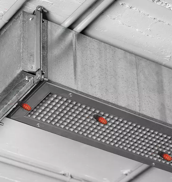 About Air Duct Cockroach Removal in Hattiesburg, MS