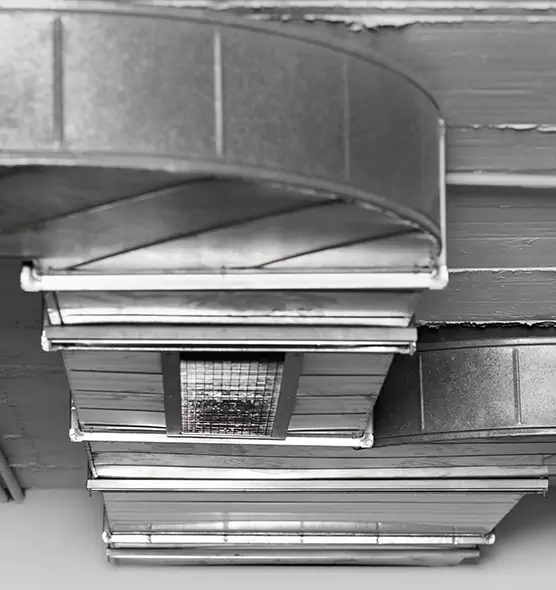 Professional Air Duct Pest Removal in Hattiesburg, MS