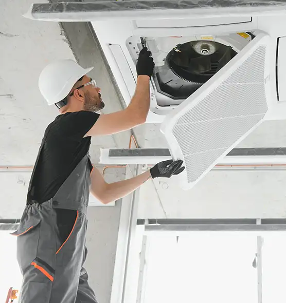 About Air Duct Rodent Removal in Hattiesburg, MS