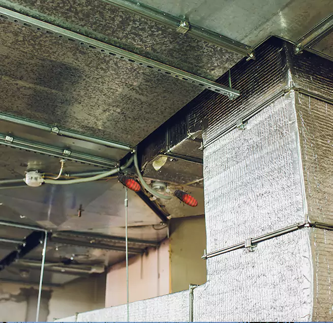 Why Homeowners & Businesses Trust Us in Hattiesburg, MS?